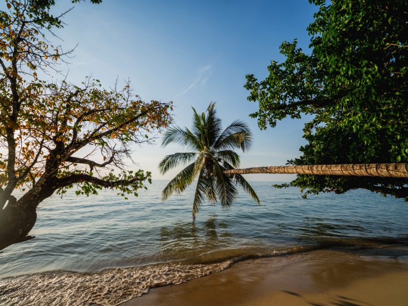 Trinidad y Tobago: cultura y playas